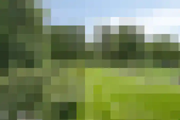 Oude Hoevenweg 157 Vriezenveen thumbnail 21