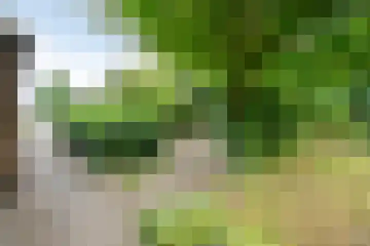 Oude Hoevenweg 157 Vriezenveen thumbnail 22