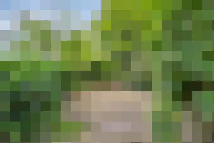 Oude Hoevenweg 157 Vriezenveen thumbnail 23