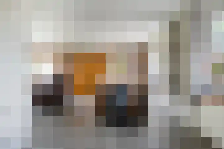 Oude Hoevenweg 157 Vriezenveen thumbnail 29