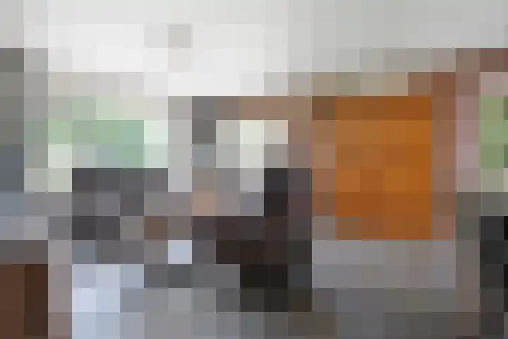 Oude Hoevenweg 157 Vriezenveen thumbnail 31