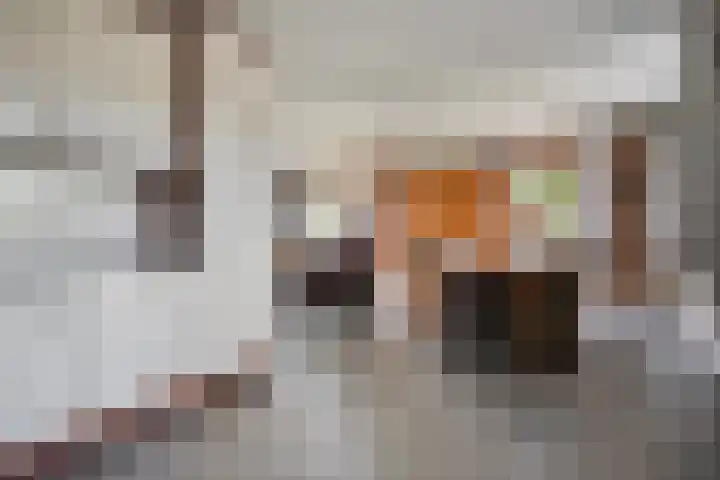 Oude Hoevenweg 157 Vriezenveen thumbnail 35