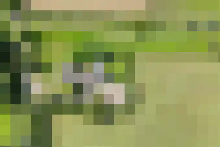 Oude Hoevenweg 157 Vriezenveen thumbnail 5