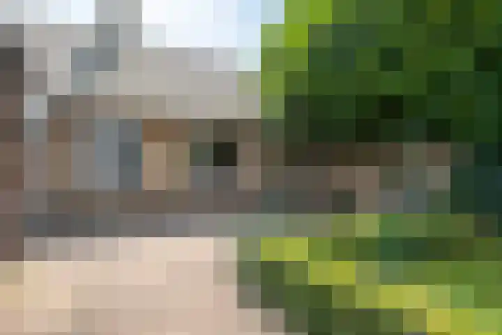 Oude Hoevenweg 157 Vriezenveen thumbnail 65
