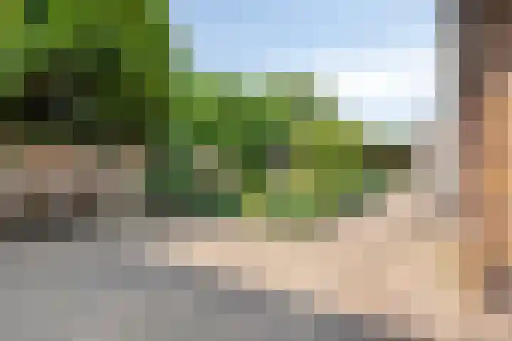 Oude Hoevenweg 157 Vriezenveen thumbnail 68