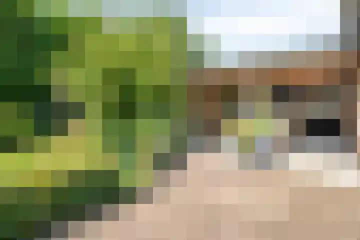 Oude Hoevenweg 157 Vriezenveen thumbnail 69
