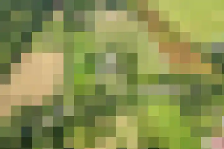 Oude Hoevenweg 157 Vriezenveen thumbnail 7