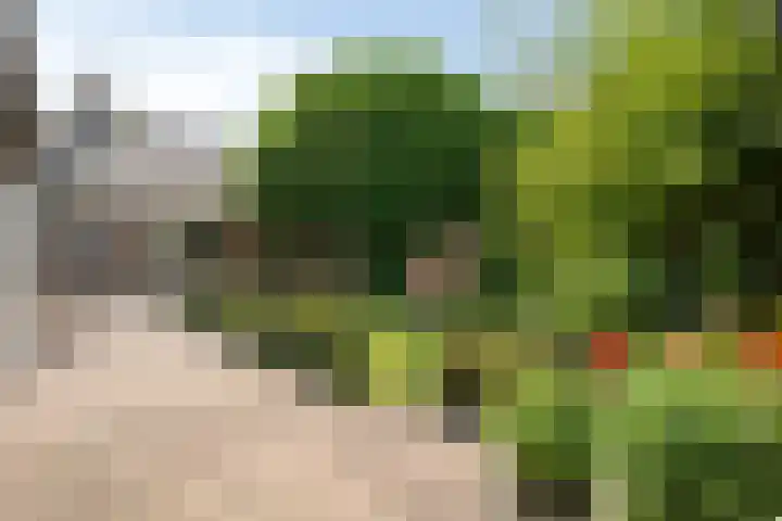 Oude Hoevenweg 157 Vriezenveen thumbnail 70