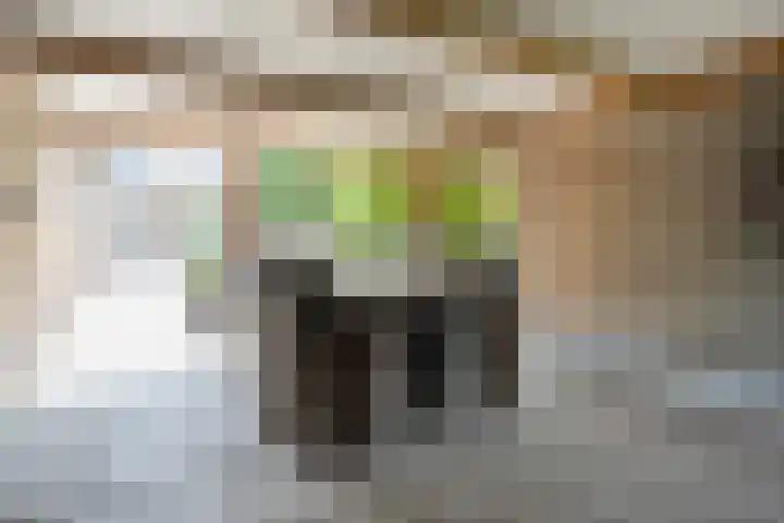Oude Hoevenweg 157 Vriezenveen thumbnail 72