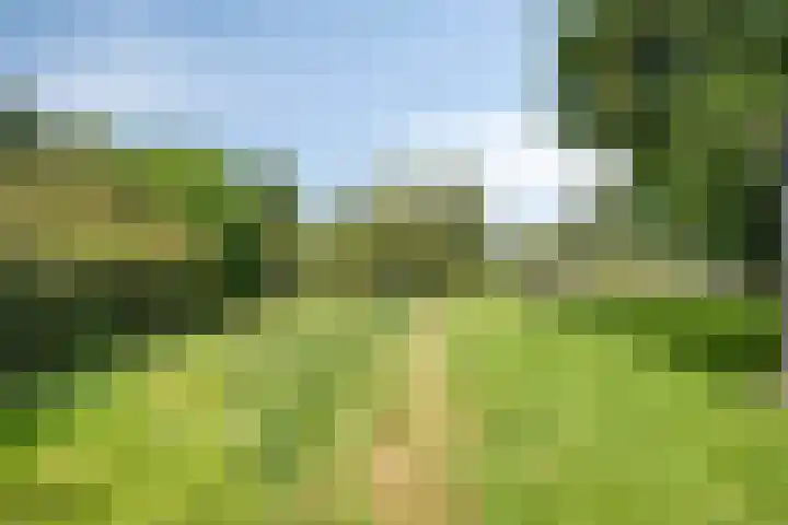 Oude Hoevenweg 157 Vriezenveen thumbnail 75