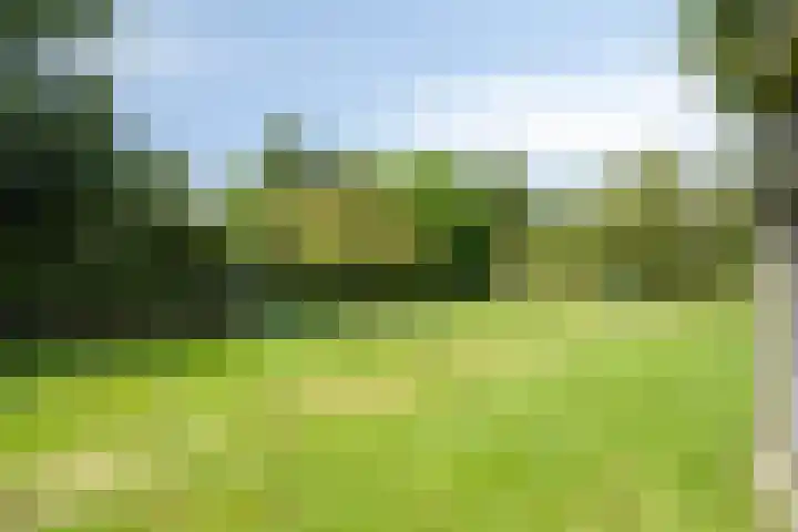 Oude Hoevenweg 157 Vriezenveen thumbnail 77