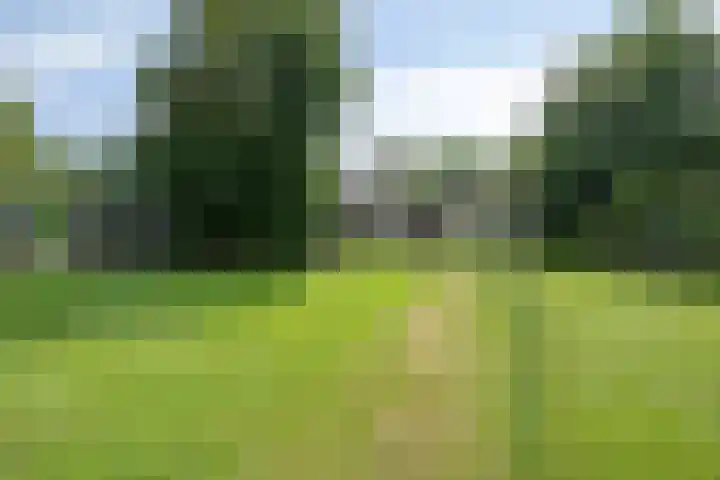 Oude Hoevenweg 157 Vriezenveen thumbnail 78