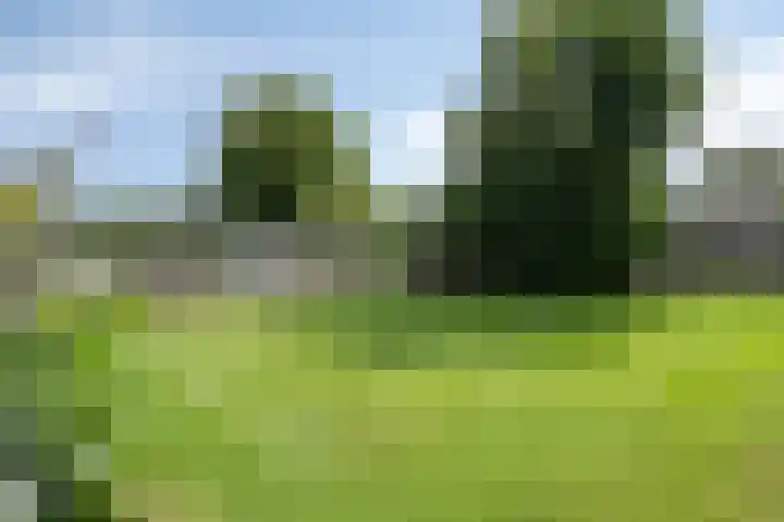Oude Hoevenweg 157 Vriezenveen thumbnail 79