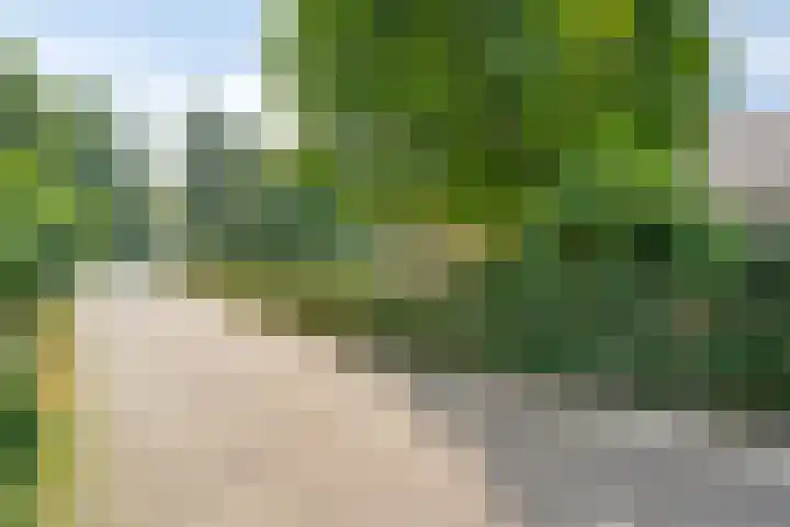 Oude Hoevenweg 157 Vriezenveen thumbnail 8