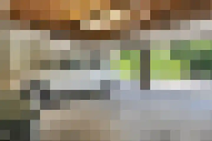 Oude Hoevenweg 157 Vriezenveen thumbnail 81