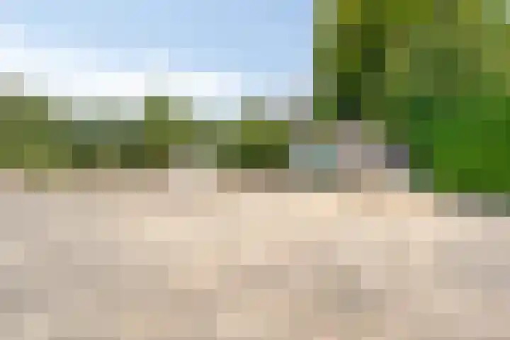 Oude Hoevenweg 157 Vriezenveen thumbnail 89