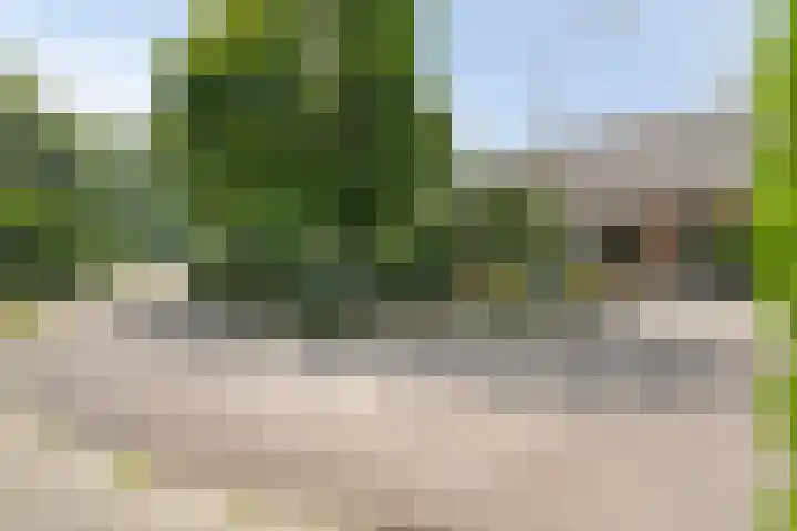 Oude Hoevenweg 157 Vriezenveen thumbnail 9