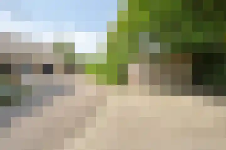 Oude Hoevenweg 157 Vriezenveen thumbnail 91