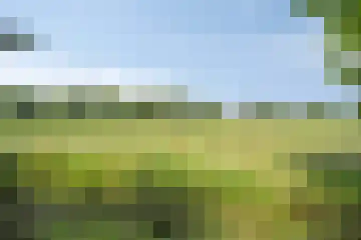 Oude Hoevenweg 157 Vriezenveen thumbnail 93