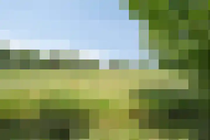 Oude Hoevenweg 157 Vriezenveen thumbnail 94