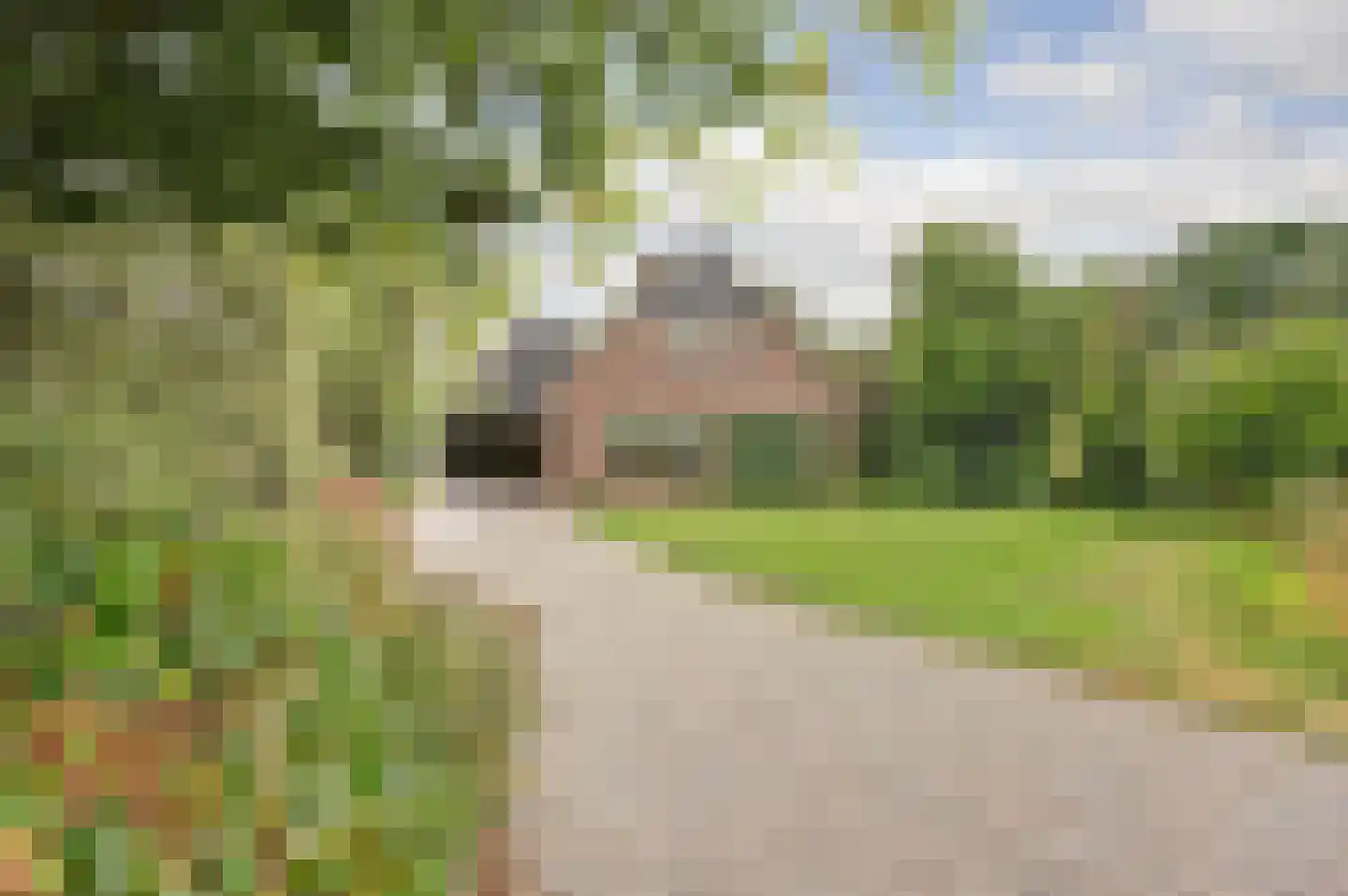 Oude Hoevenweg 26 Vriezenveen