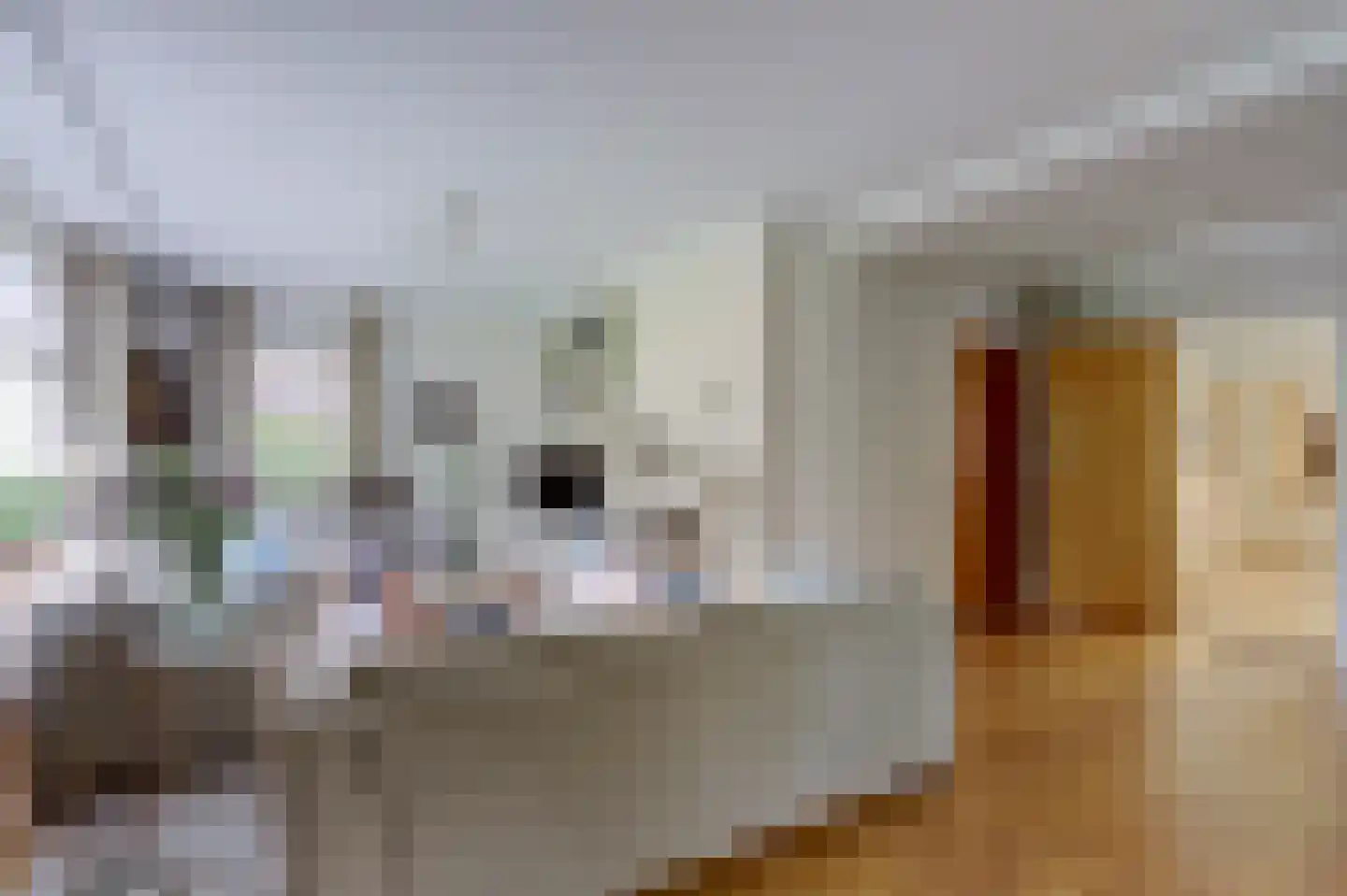 Oude Hoevenweg 26 Vriezenveen thumbnail 10