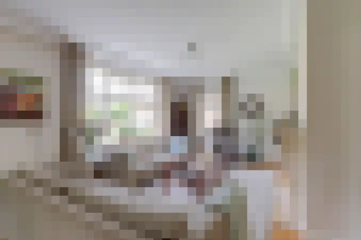 Oude Hoevenweg 26 Vriezenveen thumbnail 12