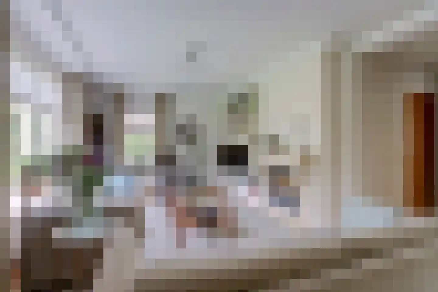 Oude Hoevenweg 26 Vriezenveen thumbnail 13