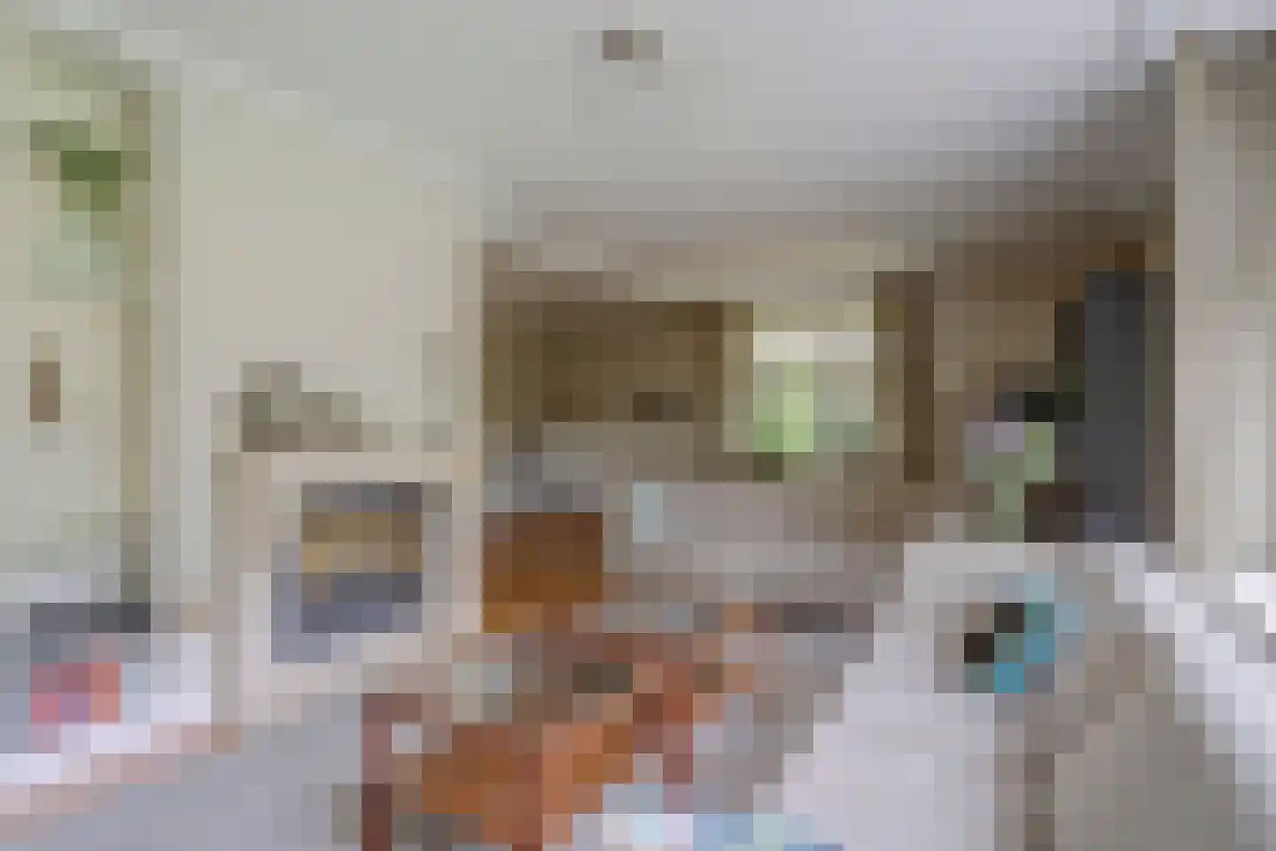 Oude Hoevenweg 26 Vriezenveen thumbnail 15