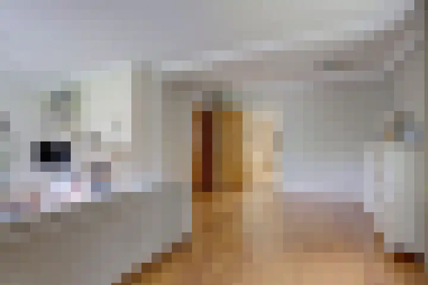 Oude Hoevenweg 26 Vriezenveen thumbnail 16
