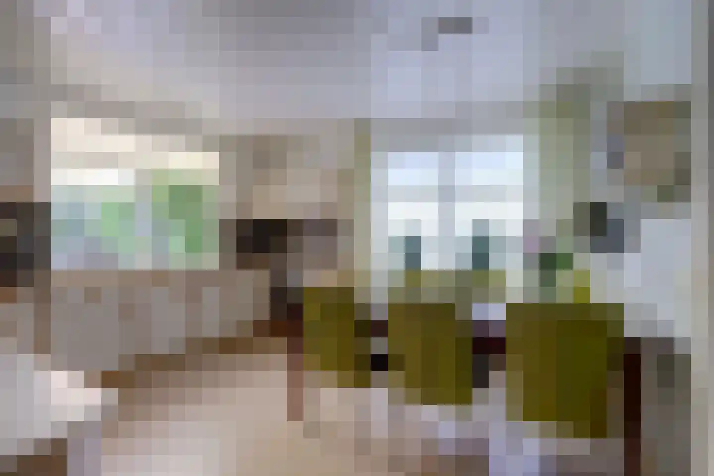 Oude Hoevenweg 26 Vriezenveen thumbnail 17