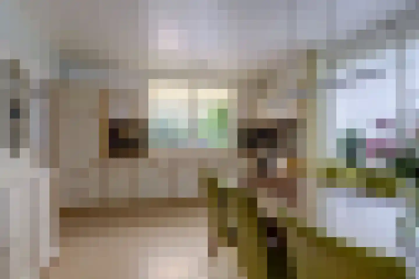 Oude Hoevenweg 26 Vriezenveen thumbnail 18