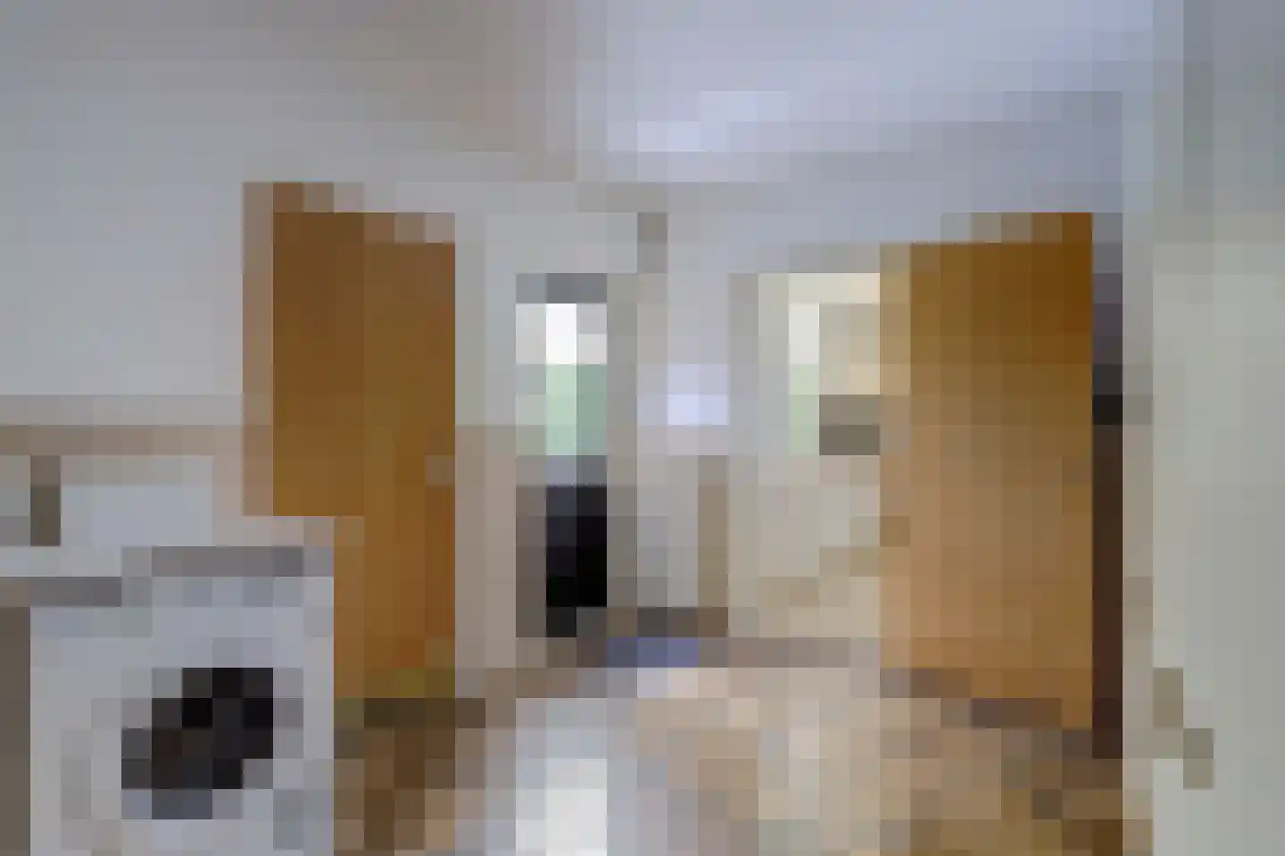 Oude Hoevenweg 26 Vriezenveen thumbnail 21