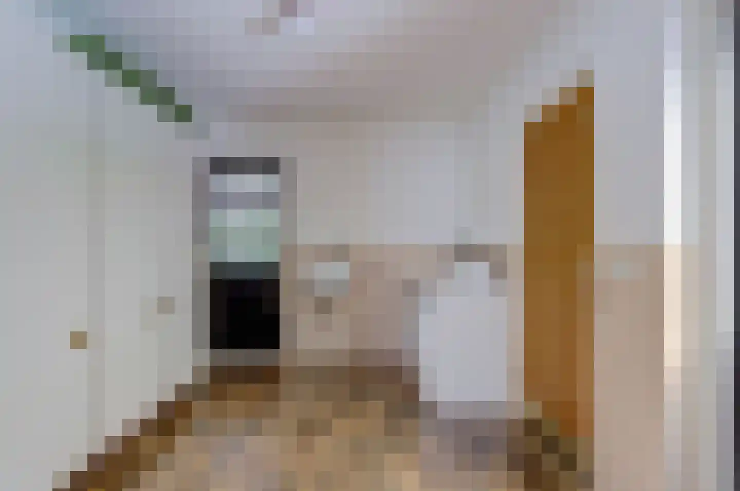 Oude Hoevenweg 26 Vriezenveen thumbnail 22
