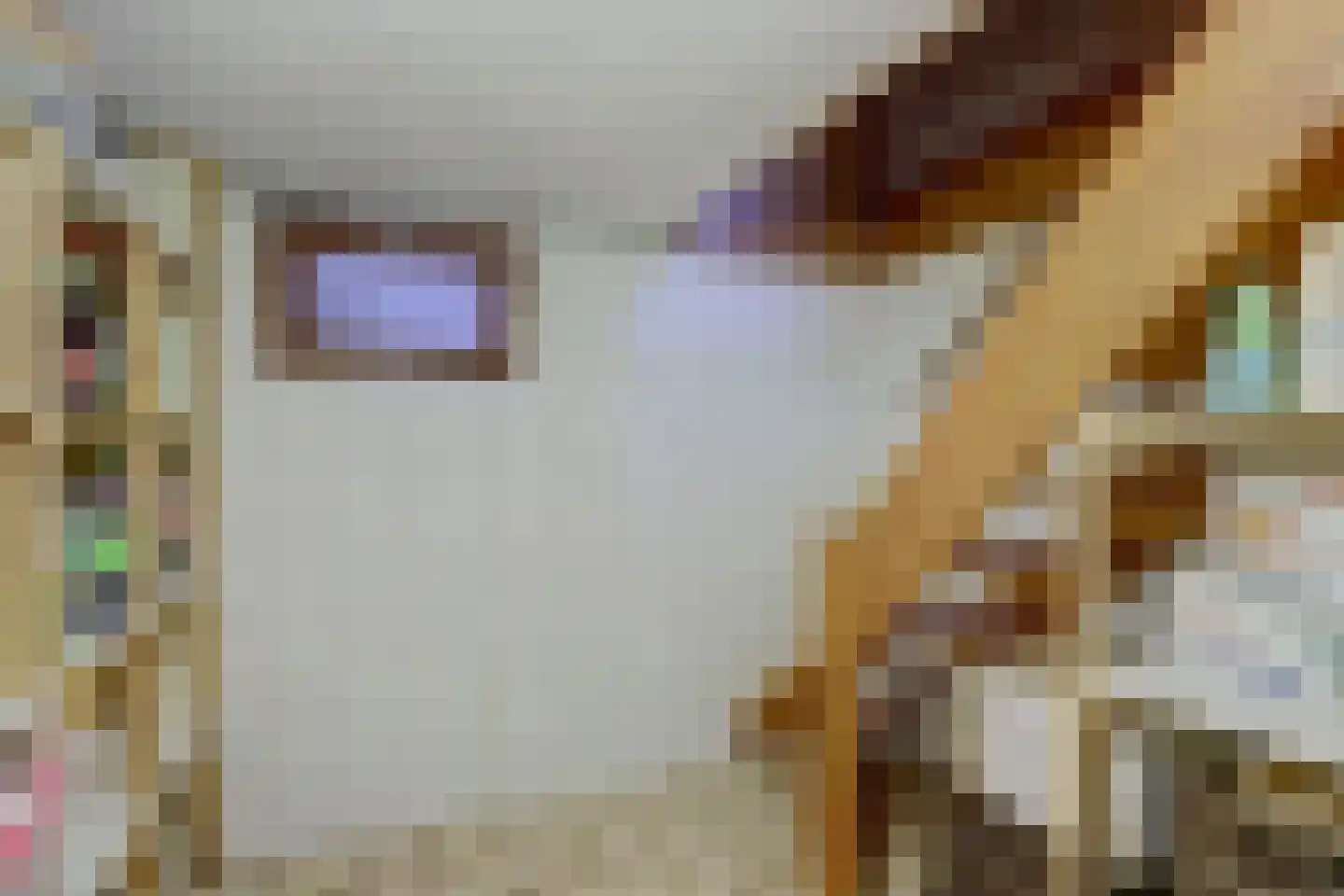 Oude Hoevenweg 26 Vriezenveen thumbnail 23