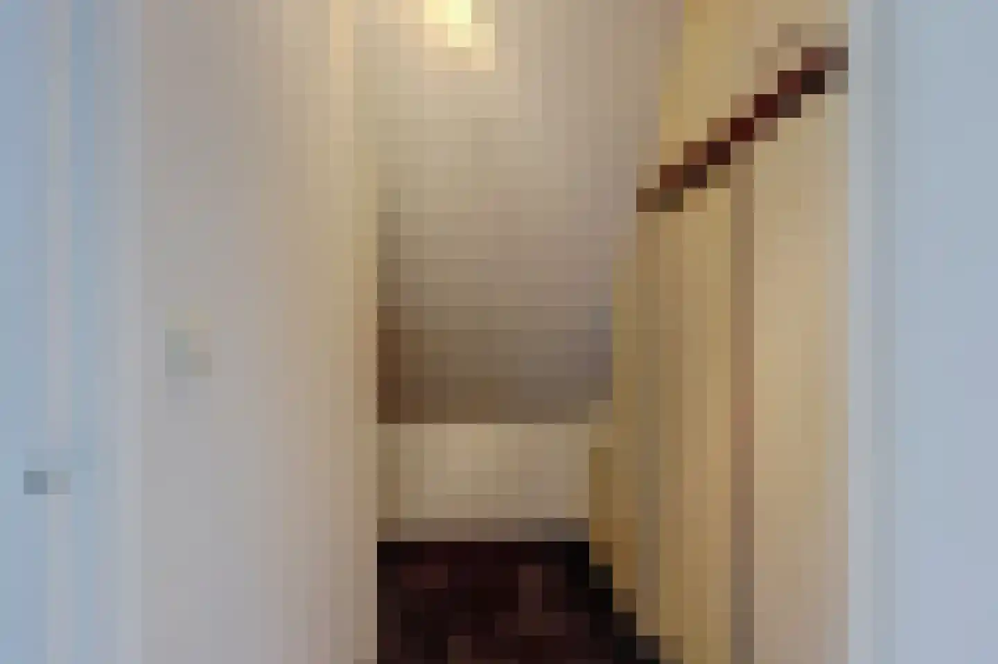Oude Hoevenweg 26 Vriezenveen thumbnail 34