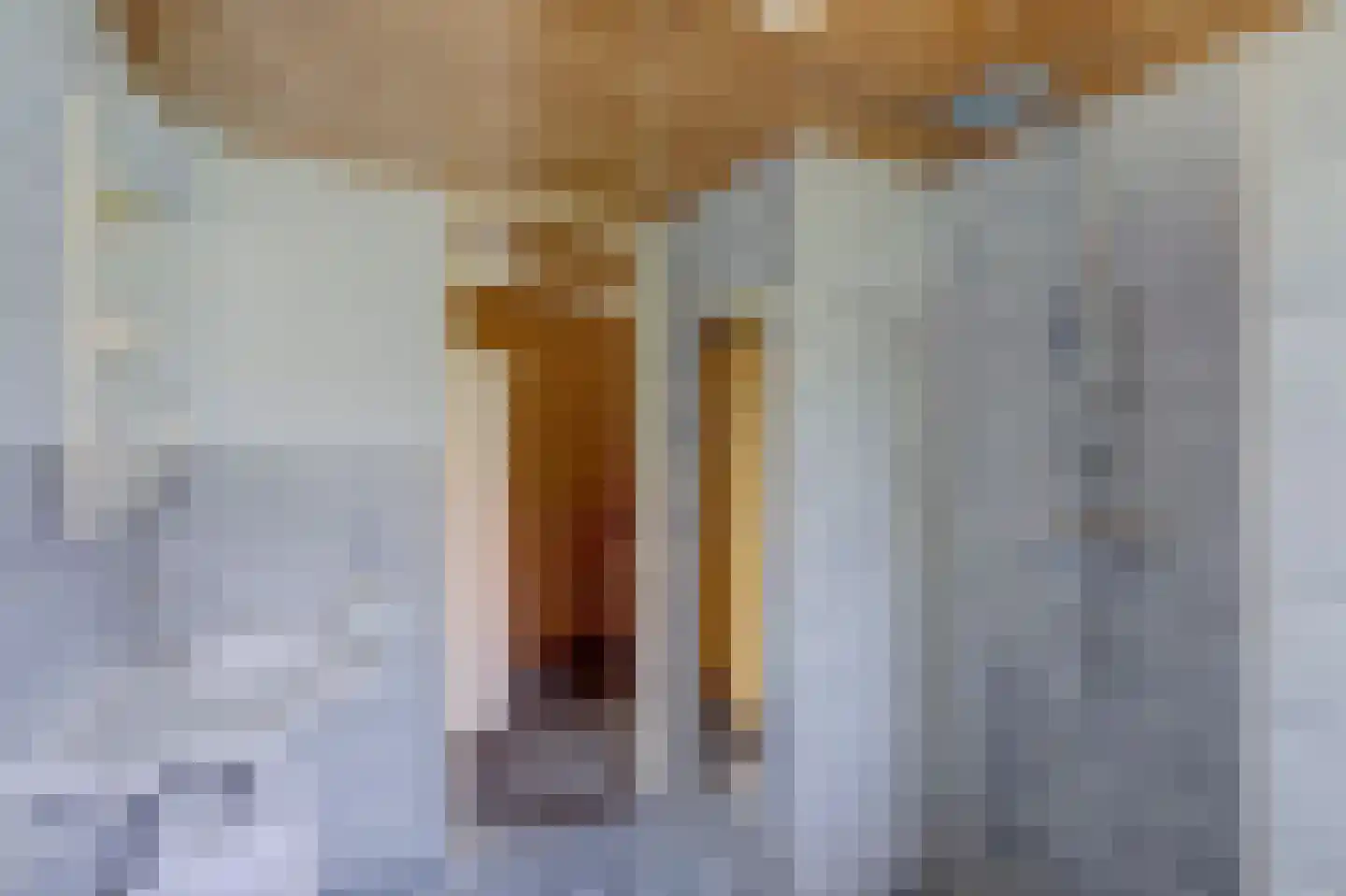 Oude Hoevenweg 26 Vriezenveen thumbnail 36