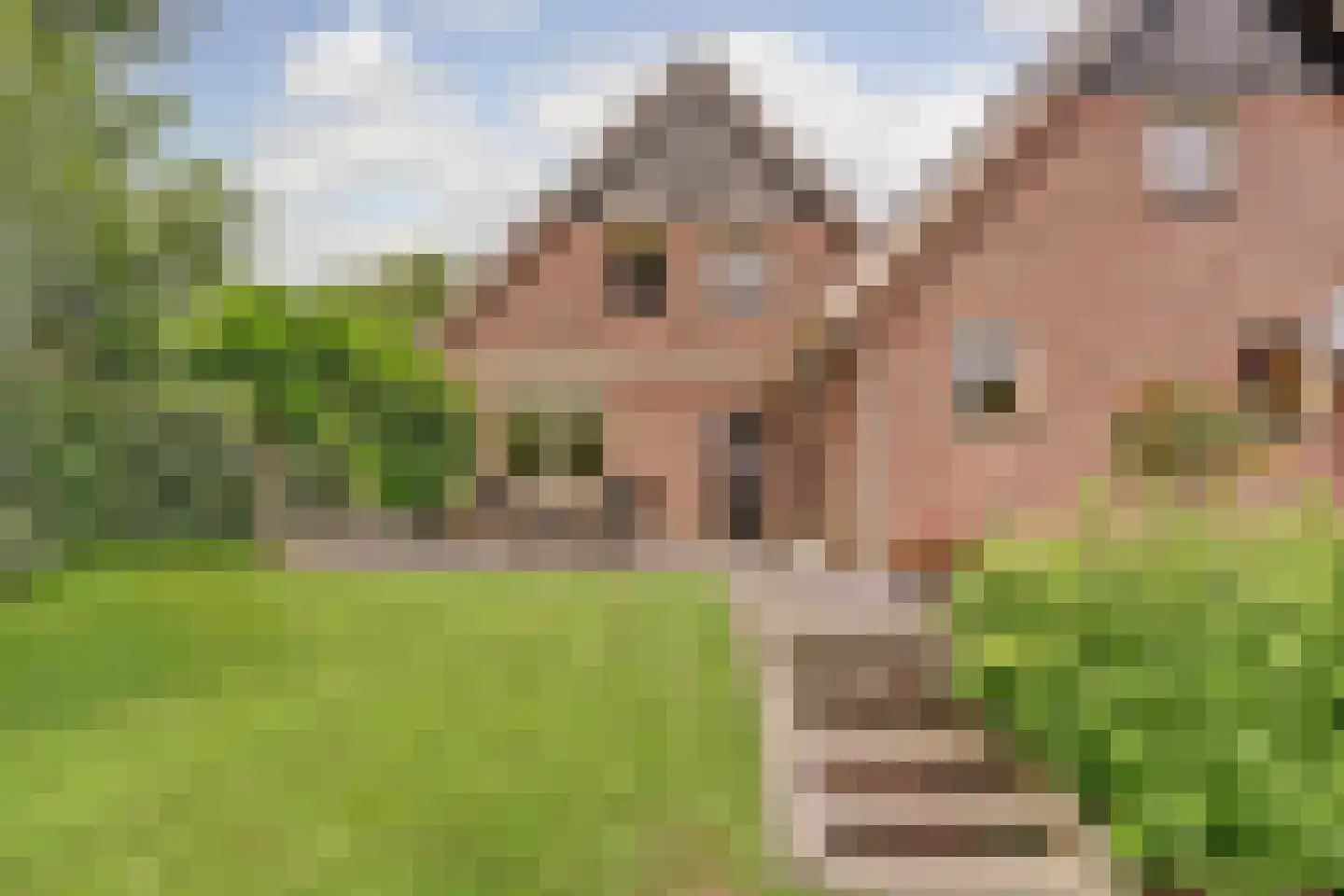 Oude Hoevenweg 26 Vriezenveen thumbnail 37