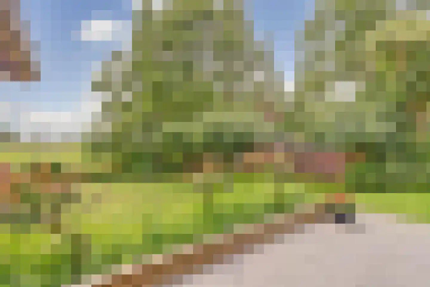 Oude Hoevenweg 26 Vriezenveen thumbnail 38