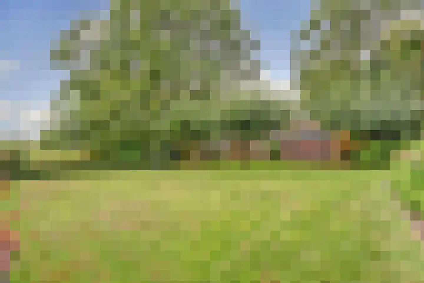 Oude Hoevenweg 26 Vriezenveen thumbnail 39