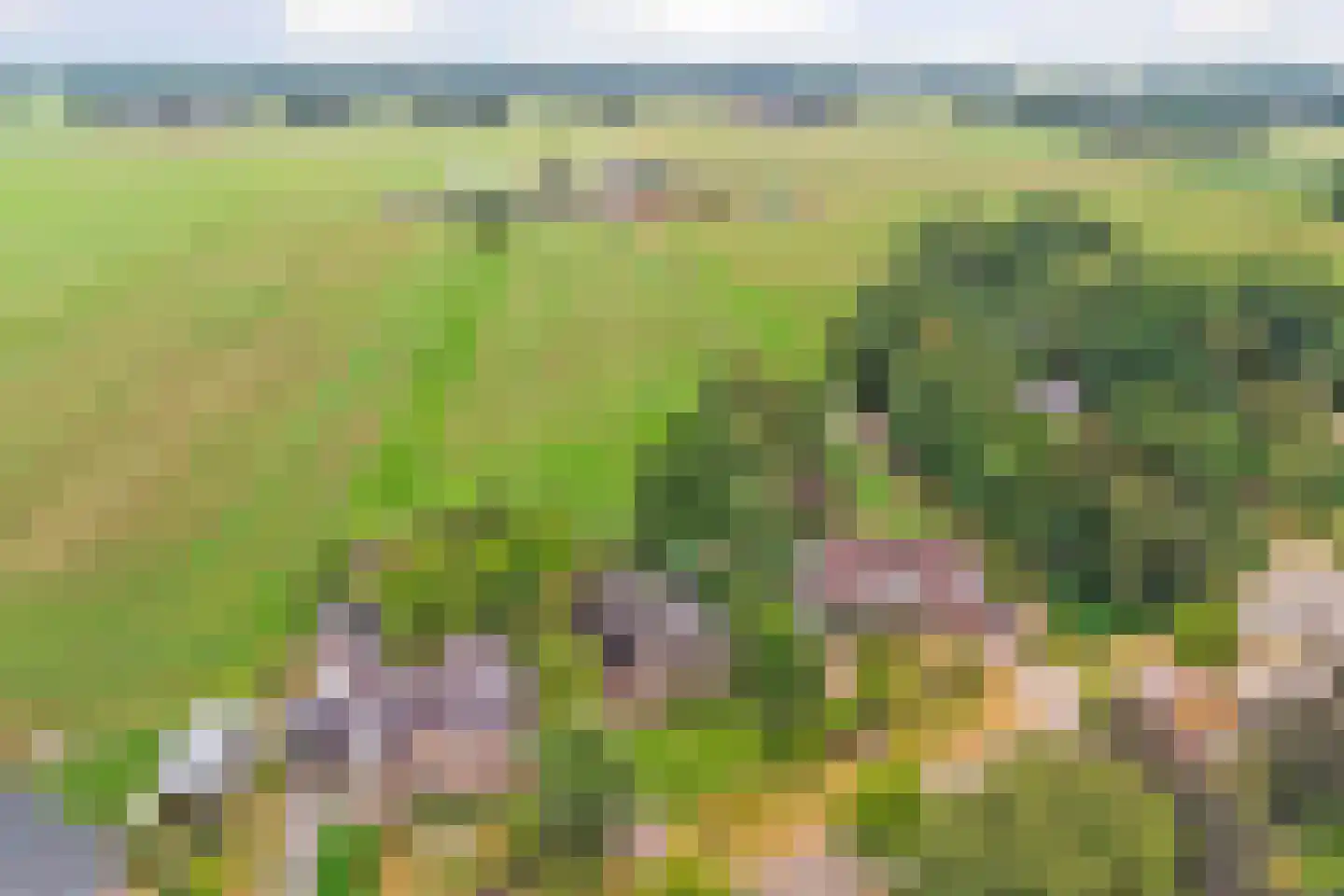 Oude Hoevenweg 26 Vriezenveen thumbnail 4