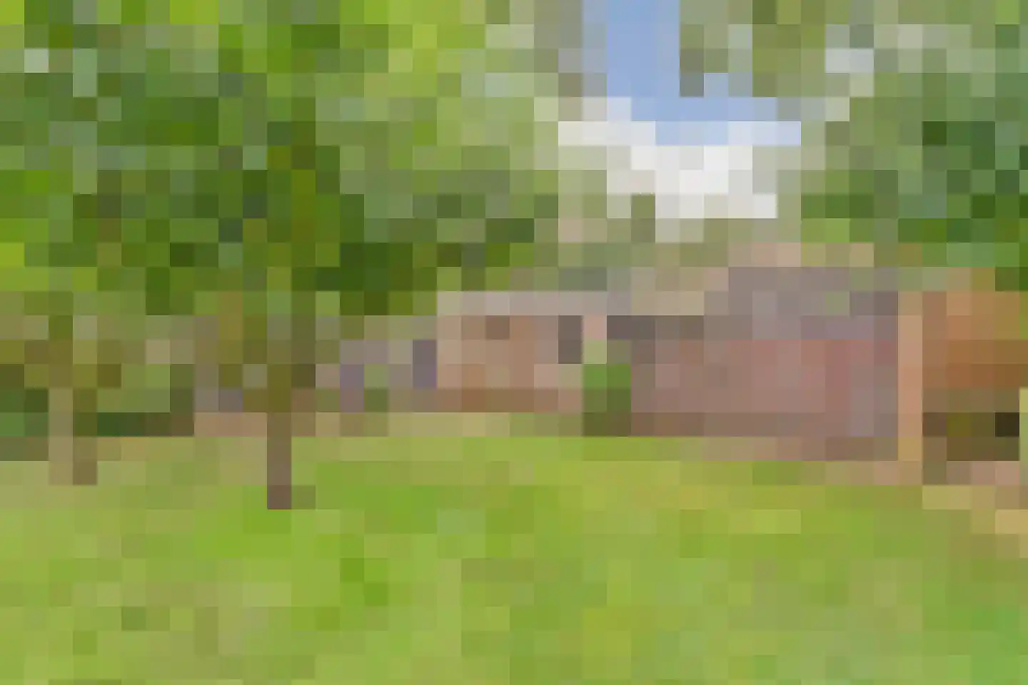 Oude Hoevenweg 26 Vriezenveen thumbnail 40