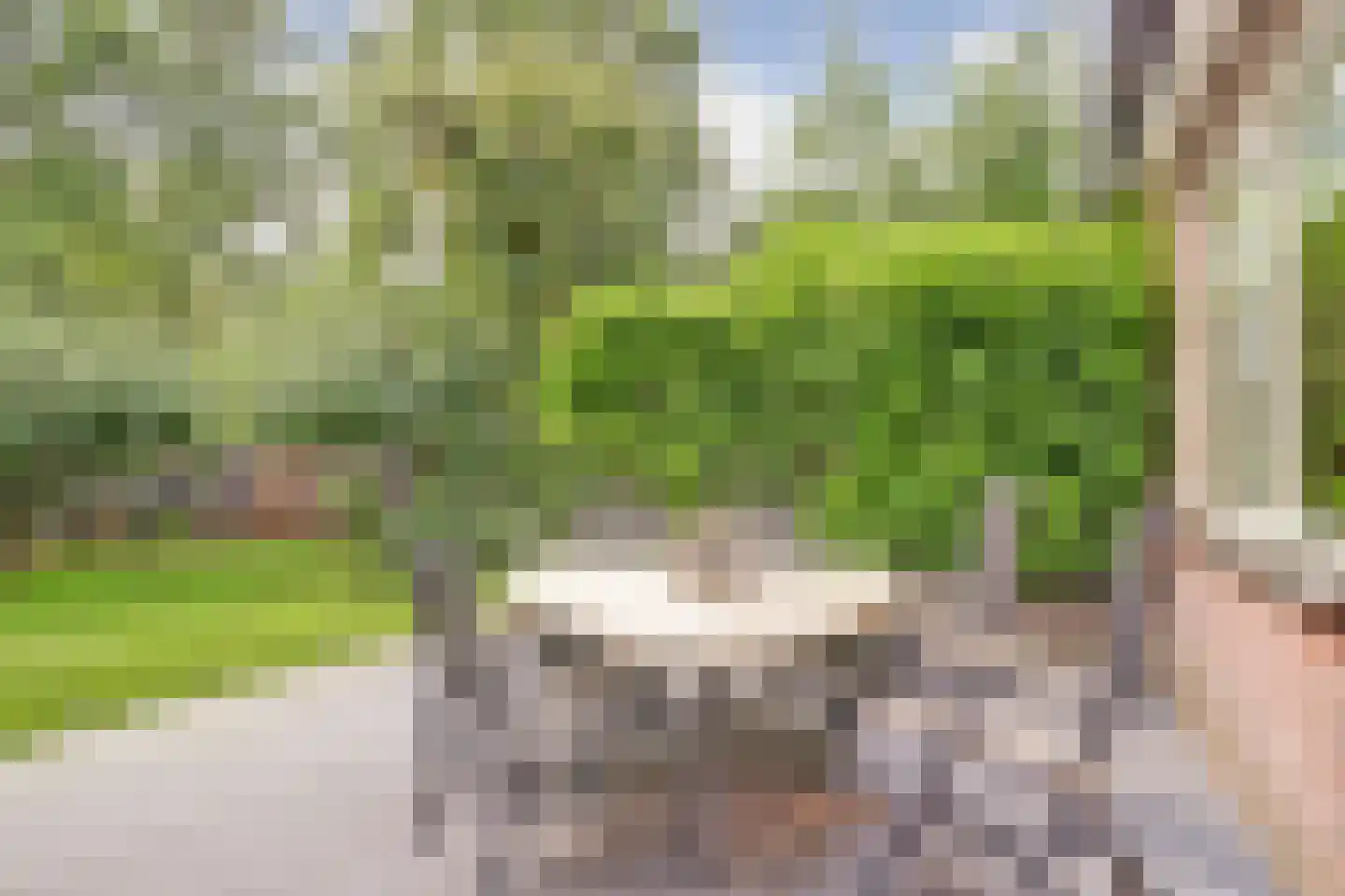 Oude Hoevenweg 26 Vriezenveen thumbnail 43