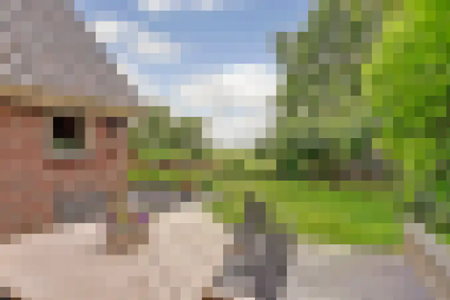 Oude Hoevenweg 26 Vriezenveen thumbnail 44
