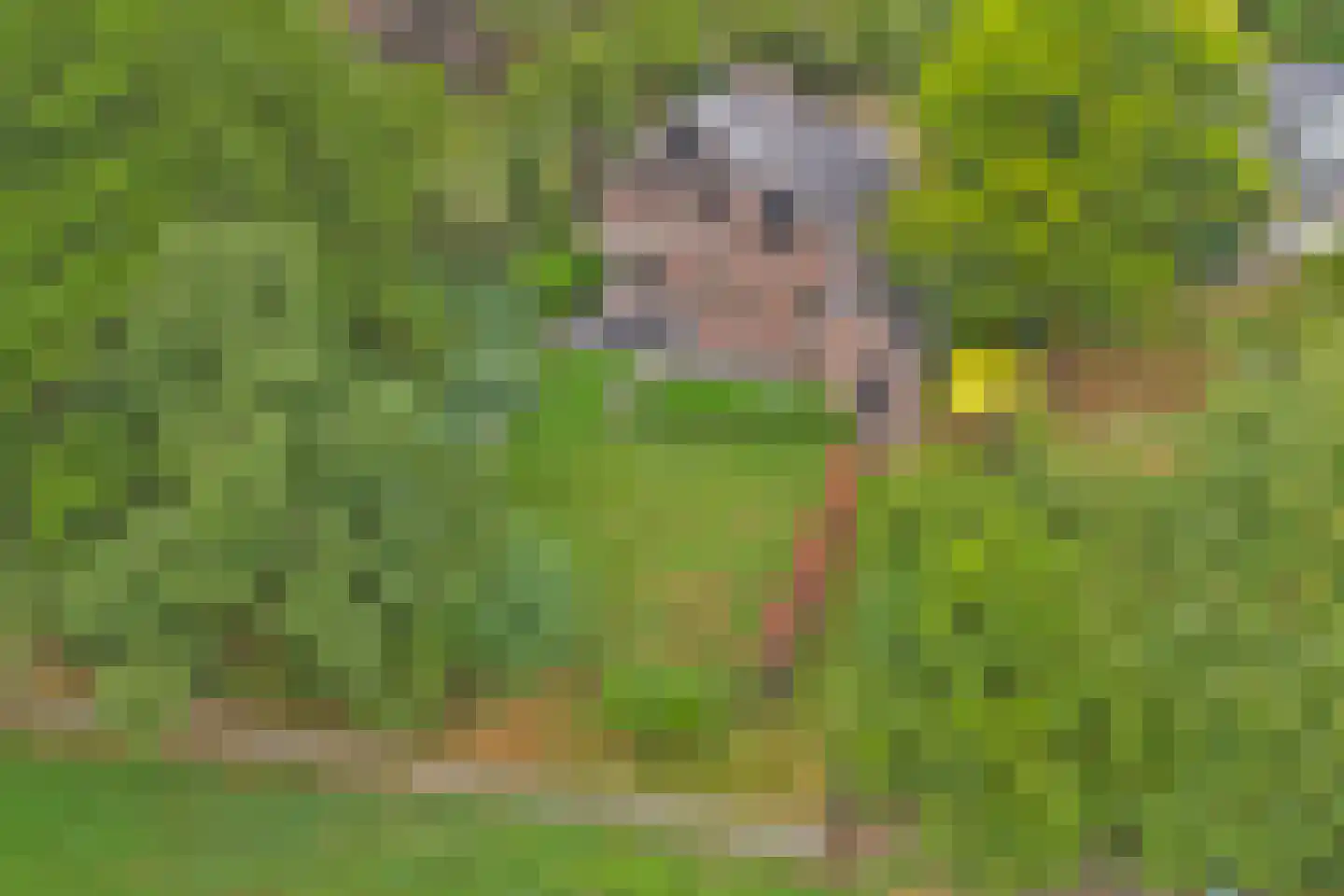 Oude Hoevenweg 26 Vriezenveen thumbnail 50