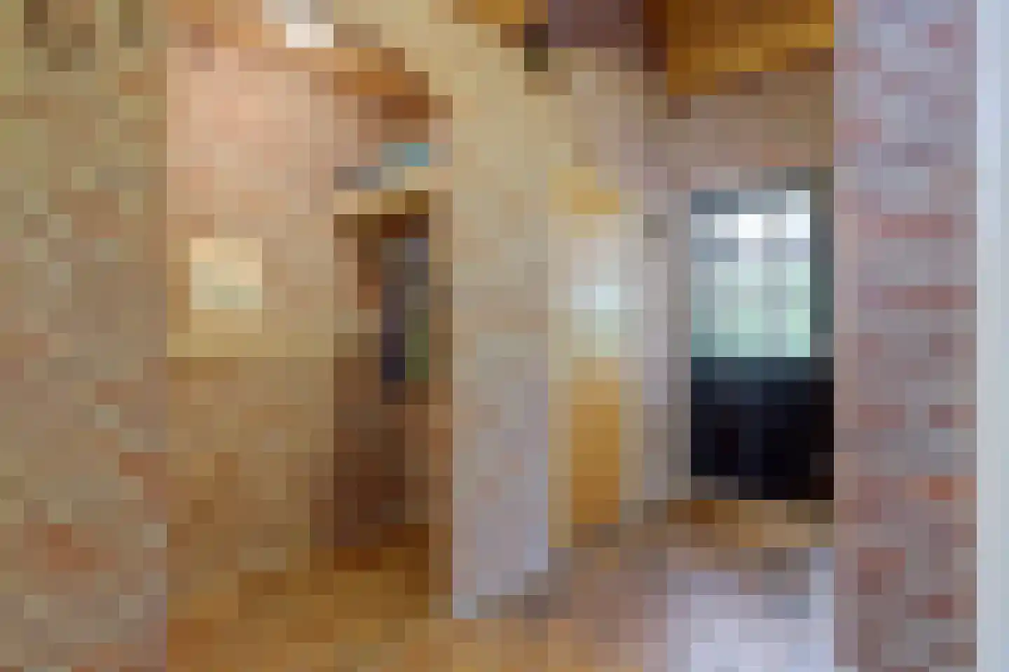Oude Hoevenweg 26 Vriezenveen thumbnail 8