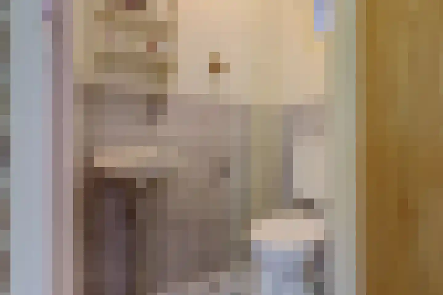 Oude Hoevenweg 26 Vriezenveen thumbnail 9