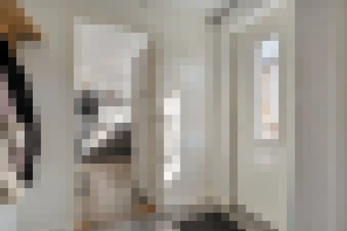 Oude Hoevenweg 5 Vriezenveen thumbnail 16