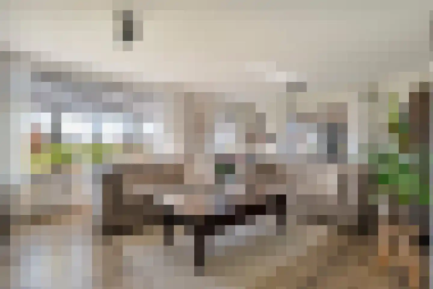 Oude Hoevenweg 5 Vriezenveen thumbnail 17