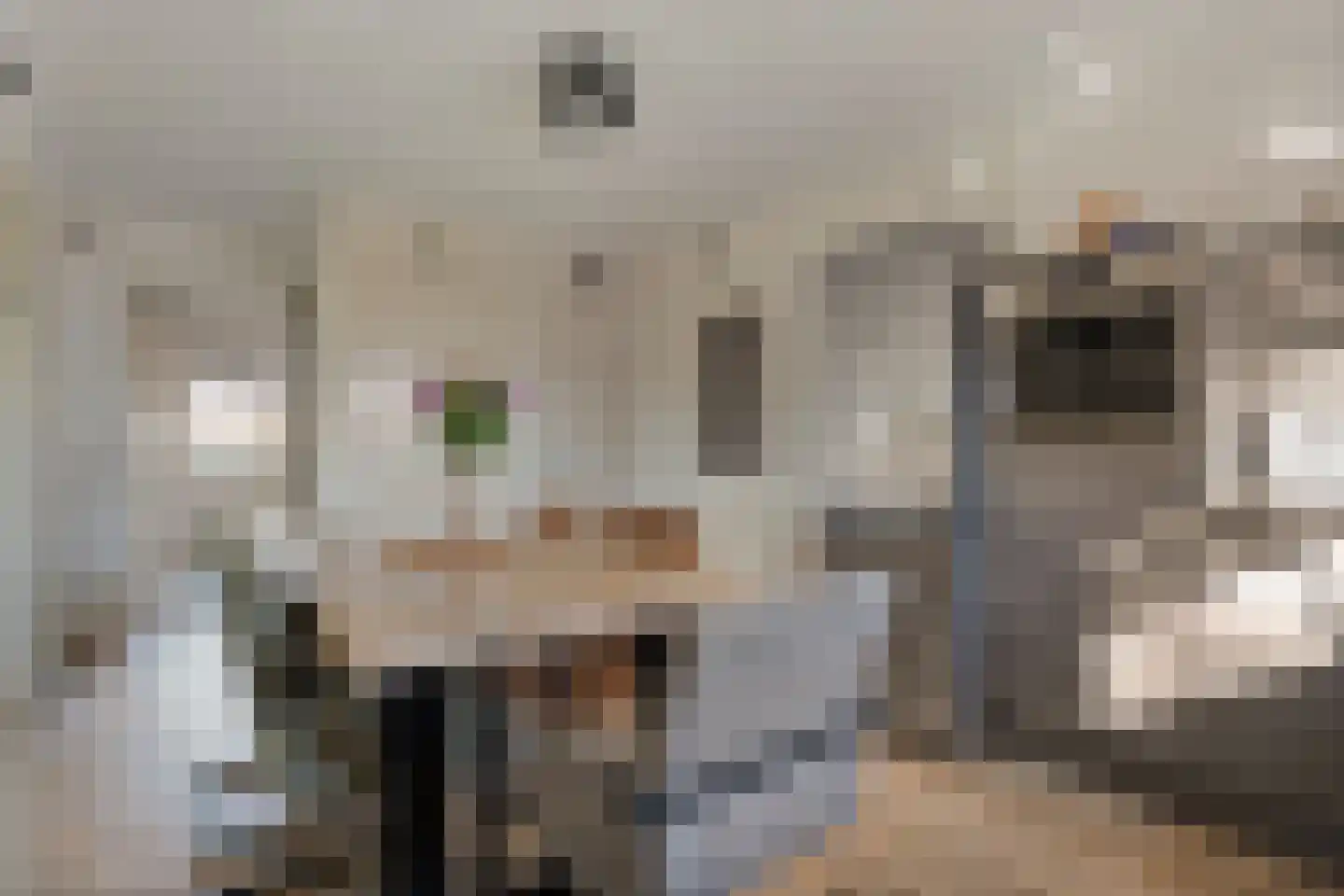 Oude Hoevenweg 5 Vriezenveen thumbnail 27